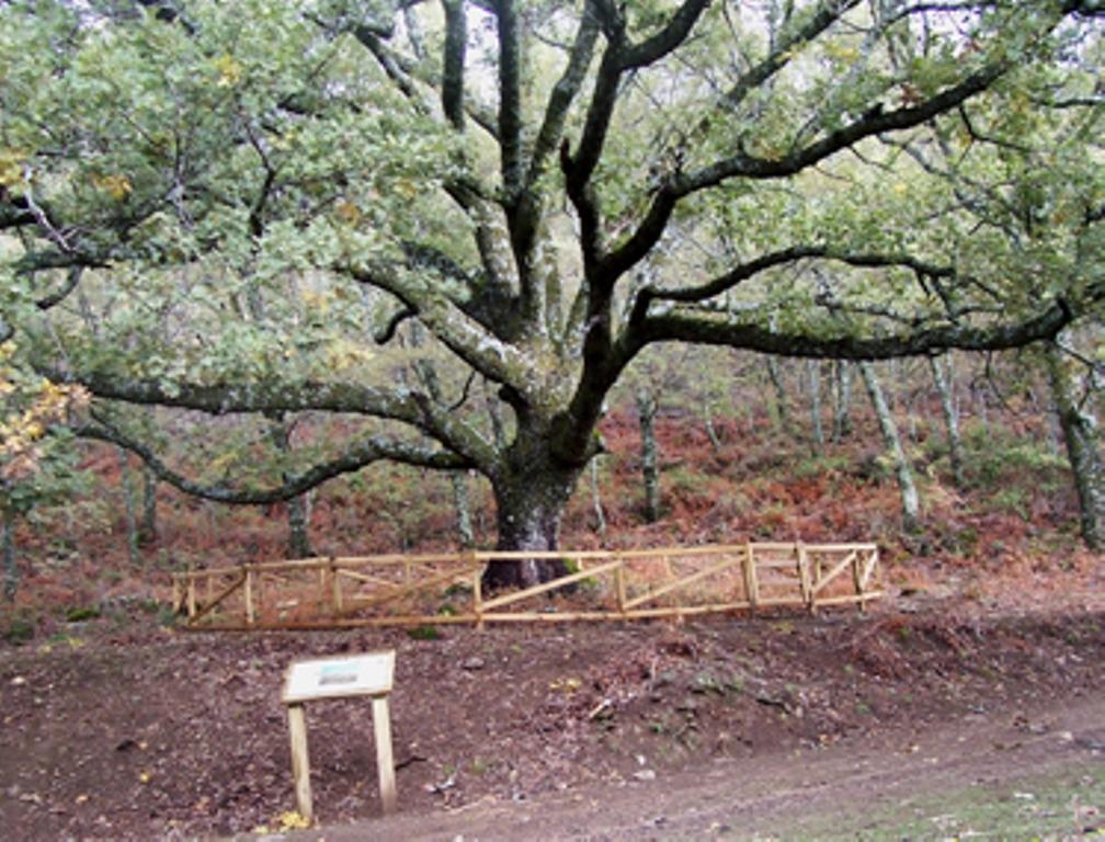 Las Calabazas Barrado Pokoj fotografie
