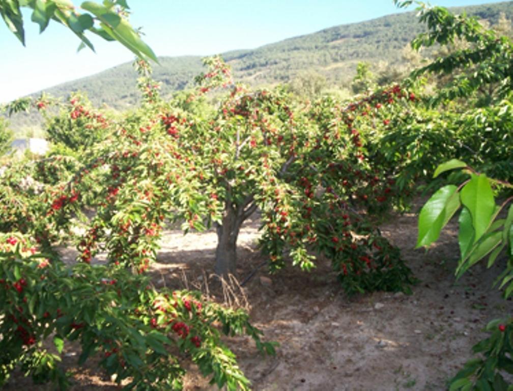 Las Calabazas Barrado Pokoj fotografie